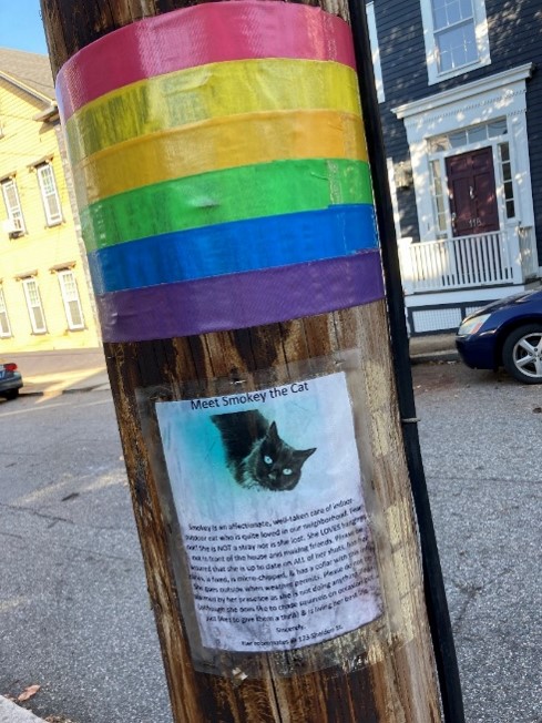 A telephone pole with a poster featuring a cat