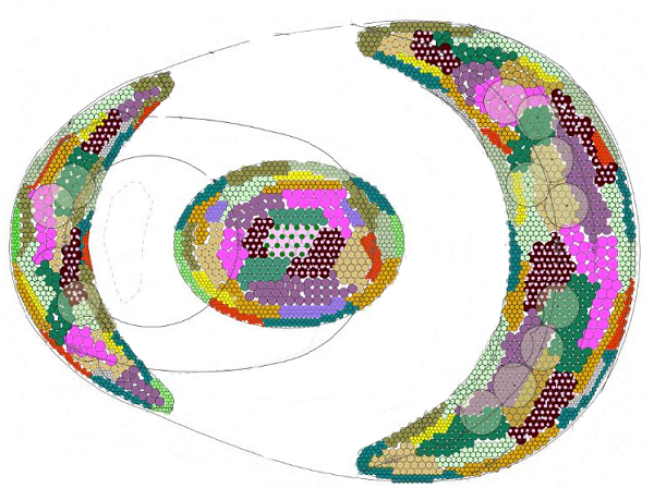 A colourful landscape design showing native plants in a design that mimics a Coast Salish Eye.