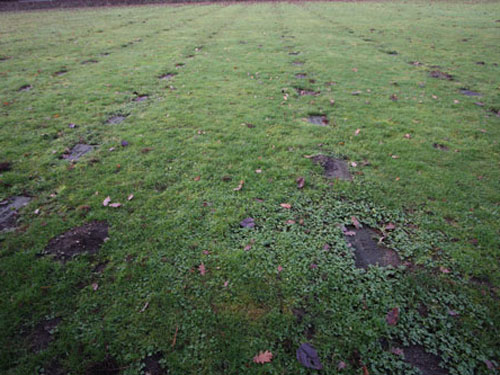 The small cemetery on the east end of site opened in 1958. It was mainly in use until 2006, ending in 2012 with the final Riverview interment. Not every patient who passed away at Riverview is buried here. Many Riverview patients had loved ones who made other burial arrangements. The Riverview Hospital Cemetery (the former Essondale Cemetery) also served The Woodlands School in New Westminster.  No new interments are permitted at this time.  The Riverview Hospital Cemetery is open to visitors. To ensure everyone’s safety, visitors are asked to read and follow the Site Rules and Regulations. Pets are not permitted on the cemetery grounds.  If you believe a family member or loved one may be buried at the Riverview Hospital Cemetery, please email renewingriverview@bchousing.org with information regarding the deceased, including name, date of death and interment location, if available