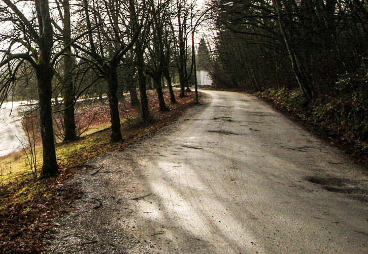 Gravel path lined with trees