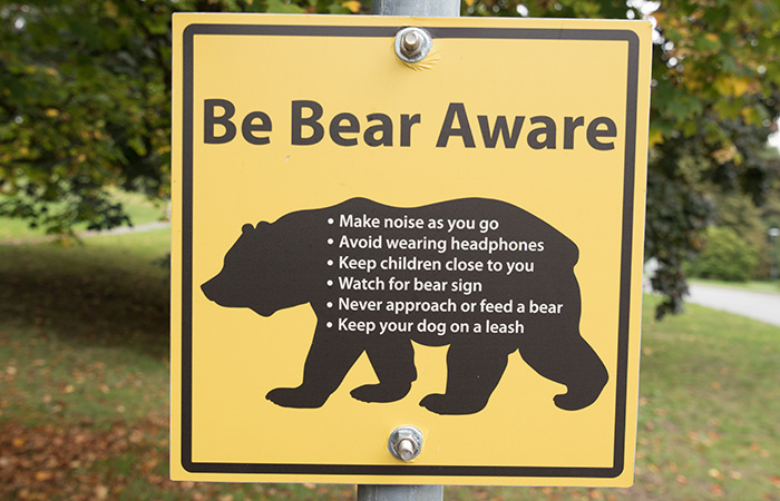 Bear aware sign