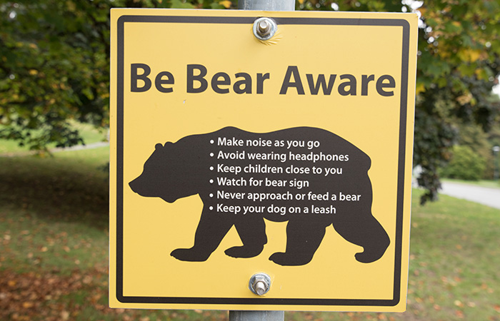 Bear Identification & Signs (Be Bear Aware) - IGBC