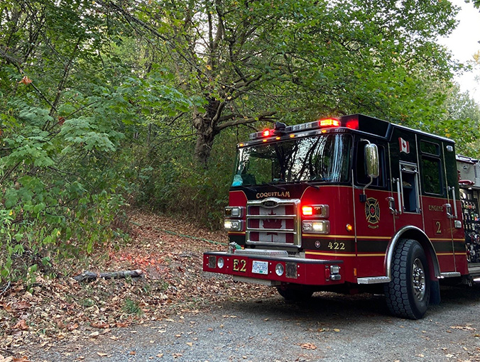 Fire truck parked beside leafy bank with tree