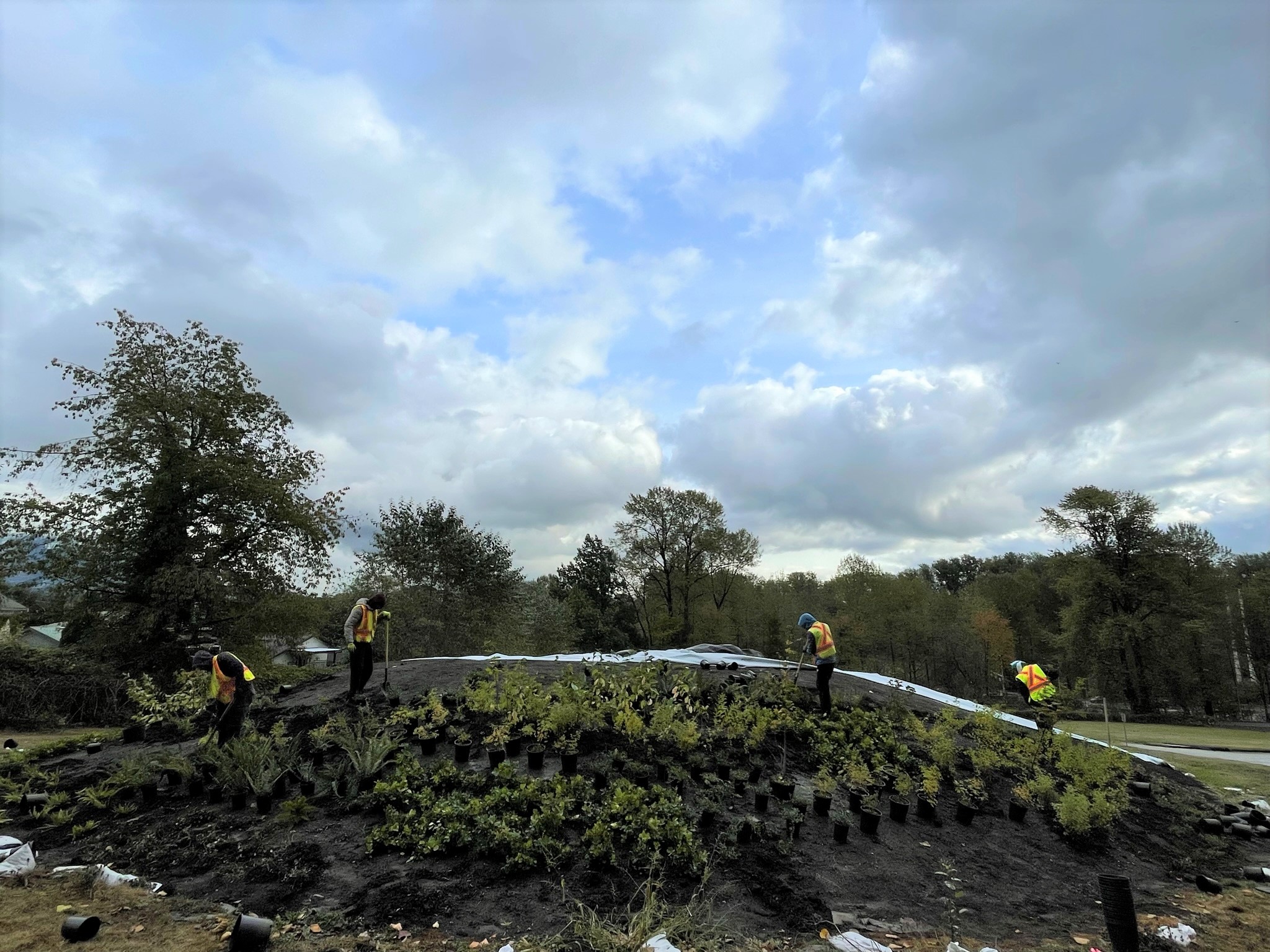Landscaping crews begin work replanting a soil mound in the cemetery.