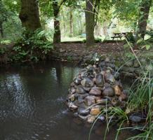  Pond at Finnies Garden