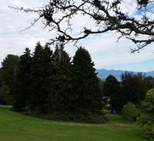 View of Riverview landscape