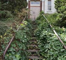 Vine covered steps near tudor cottage