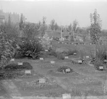 Women standing in the gardens at Essondale 1911-1916